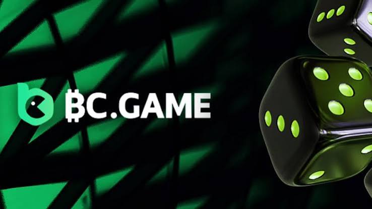 Exploring BC.Game Online Casino Platform A Comprehensive Guide -220145588